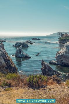 the ocean with rocks in it and some birds flying over them, on a sunny day