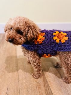 a brown dog wearing a purple crocheted sweater with orange flowers on it's chest