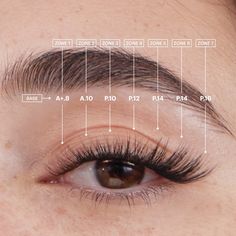 Cat Eye Lash Map, Lash Map, Wispy Eyelashes