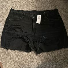 Women’s Distressed Black Shorts. Nwt. Never Worn Black Shorts Jeans, Emo Shorts, Hades Daughter, Shorts Women, Shorts Jeans, College Life, Black Shorts, Percy Jackson, Jean Shorts