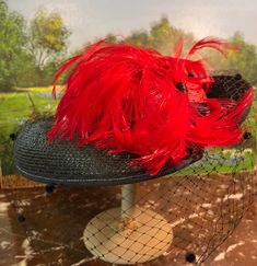 Lady's black hat with red feathers. Hat itself is in excellent condition, but a few of the small feathers have come out. I'm sure you could add more, but there are still lots on the hat. Measures 16" across outside and 7" inside.  Great for church, weddings, photo props, or special occasions. Shipping will be around $12.00. Evening Costume Hat With Feathers, Church Mini Hat With Feather Trim, Black Feather Trim Mini Hats For Kentucky Derby, Black Feather Trim Hat For Kentucky Derby, Black Mini Hat With Feather Trim For Royal Ascot, Black Mini Hats With Feather Trim For Kentucky Derby, Evening Mini Hat With Feather Trim And Curved Brim, Black Feathered Short Brim Costume Hat, Black Hats With Feathers For Royal Ascot