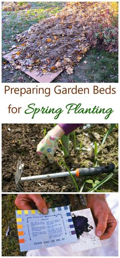 the steps to preparing garden beds for spring planting