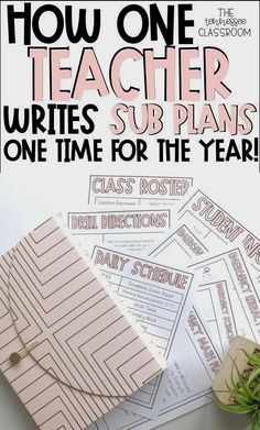 an image of how one teacher writes sub plans for the year