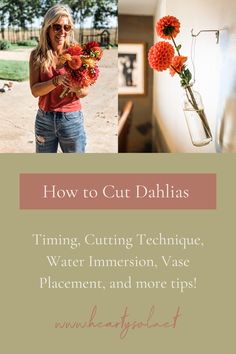 To enjoy the vibrant colors and intricate beauty of dahlias indoors, it’s essential to know the steps of cutting and processing dahlias properly. This step-by-step guide will help you maximize the vase life of your blooms, allowing you to enjoy their splendor for longer. #dahlias #cutflowers #cutdahlias #longvaselife #flowerdecor Long Vase, Growing Dahlias, Flower Subscription, Cut Flower Garden, Gardening Tips And Tricks, Flower Food, Flower Gardening, Love Sewing, Fresh Cut