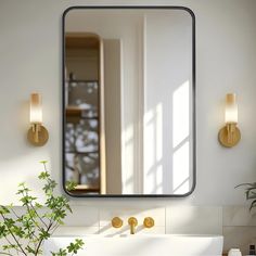 a bathroom with a sink, mirror and potted plant