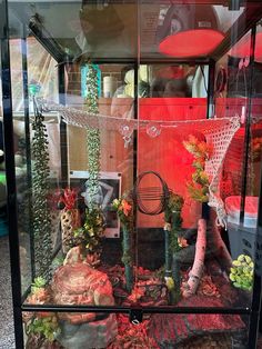 a display case filled with lots of different types of plants