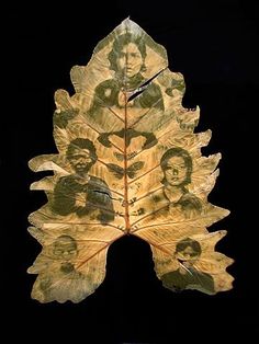 a large leaf with pictures on it