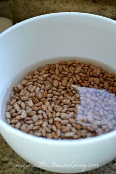 a white bowl filled with lots of brown beans