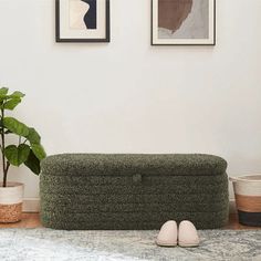 a pair of slippers sitting on the floor next to a green couch and potted plant