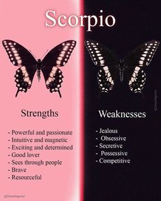 a book cover with two butterflies and the words scorpio on it's side