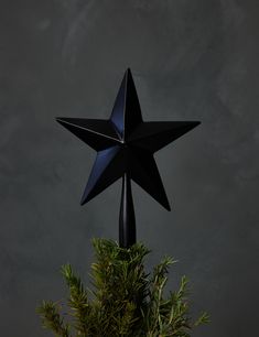 a black star on top of a tree