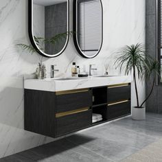 a bathroom vanity with two mirrors above it and a potted plant in the corner