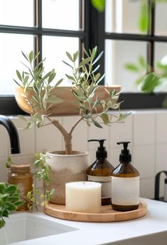 an olive tree in a pot on a counter next to soap and lotion bottles