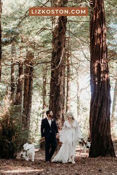 a bride and groom walking through the woods with their white poodles in tow