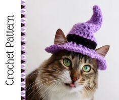 a cat wearing a purple crochet hat