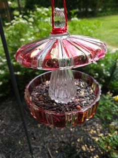 a glass bird feeder hanging from a tree in a garden with gravel and flowers around it