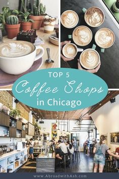 the top 5 coffee shops in chicago