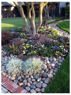 a garden with rocks and flowers in it