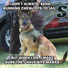 a police dog standing in front of a car with the caption i don't always send running chew toys to jail but when i do, i make sure they have bite marks