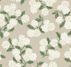 white flowers and green leaves are on a gray background, with an off - white color scheme