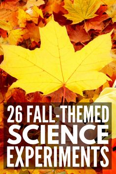 fall themed science experiments for kids with leaves and pumpkins on the ground in front of them