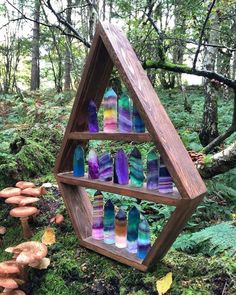 Cool Crystals, Reiki Cura, Crystal Storage, Forest Magic, Crystal Room, Crystal Vibes