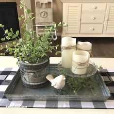 a tray with candles and some plants on it