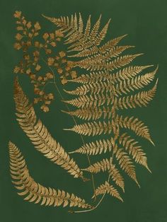 a fern leaf is shown in gold on a dark green background with white flowers and leaves