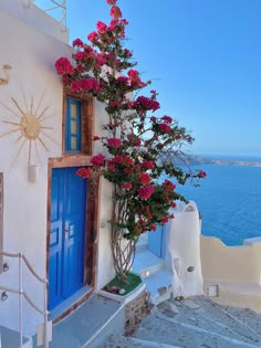 pink flowers are growing on the side of a white building with blue doors and windows