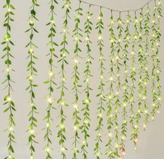 green and white flowers are hanging from the ceiling in front of a wall mounted planter