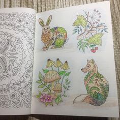 an open coloring book with pictures of animals and mushrooms on it's pages