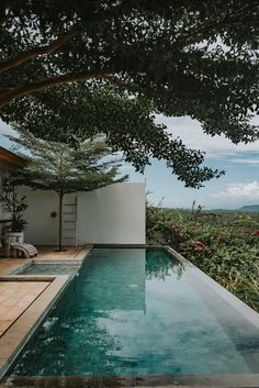 an empty swimming pool in the middle of a lush green area with trees and flowers