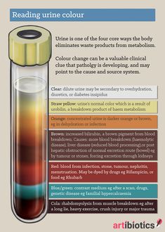 an info sheet describing different types of liquids