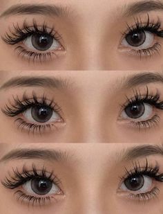 Castor oil Lash Extensions Styles Round Eyes, Magna Lashes, Wet Eyelash Look, Doe Eye Makeup Black Women, Lash Extensions Downturned Eyes, Manwha Lash Extensions, Classic Doll Eyelash Extensions, Baby Doll Lashes, Asian Eyelash Extensions