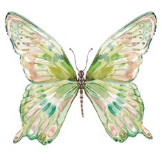 Soft Wings I Poster Print by Carol Robinson-VARPDX40092 Image 1 Green Watercolor Art, Canva Designs Aesthetic, Room Posters To Print, Trendy Poster Prints, Simple Prints For Walls, Things To Print Out For Your Room, Pastel Poster Prints, Green Poster Prints, Cottage Core Prints