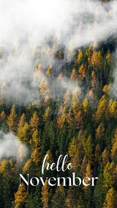 the words hello november written in white on top of a photo of trees and clouds