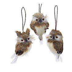 three brown and white birds hanging from strings with feathers on them's backs,