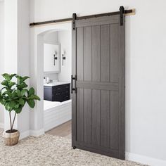 an open door in a white room with a potted plant