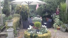 an outdoor patio with potted plants and umbrella