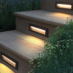 some steps lit up with lights in the grass