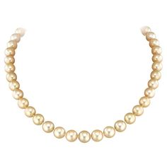 Luxury Yellow Gold Necklaces With Pearl Embellishments, Buccellati Necklace, Classic Pearl Necklace, Glamorous Jewelry, Pink Pearl Necklace, Yellow Pearl, Pearl And Diamond Necklace, White Gold Set, Cultured Pearl Necklace