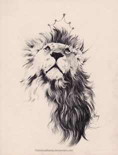 a drawing of a lion with a crown on its head