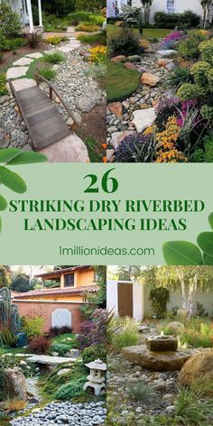 a garden with rocks and plants in the foreground text overlay reads 20 striking dry riverbed landscaping ideas