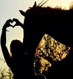 the silhouette of a woman with her hand in front of a horse's head