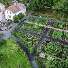 an aerial view of a vegetable garden in the middle of a yard with lots of green plants