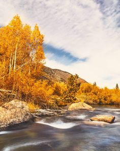 a river running through a forest filled with lots of yellow leaves and trees covered in fall foliage