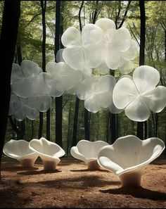 several white chairs sitting in the middle of a forest