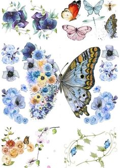 butterflies and flowers on a white background