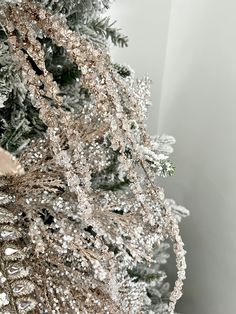 the branches of a christmas tree are covered with snowflakes and frosted pine needles