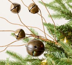 three bells are hanging from a tree branch